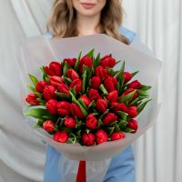 Тюльпаны красные 35шт
