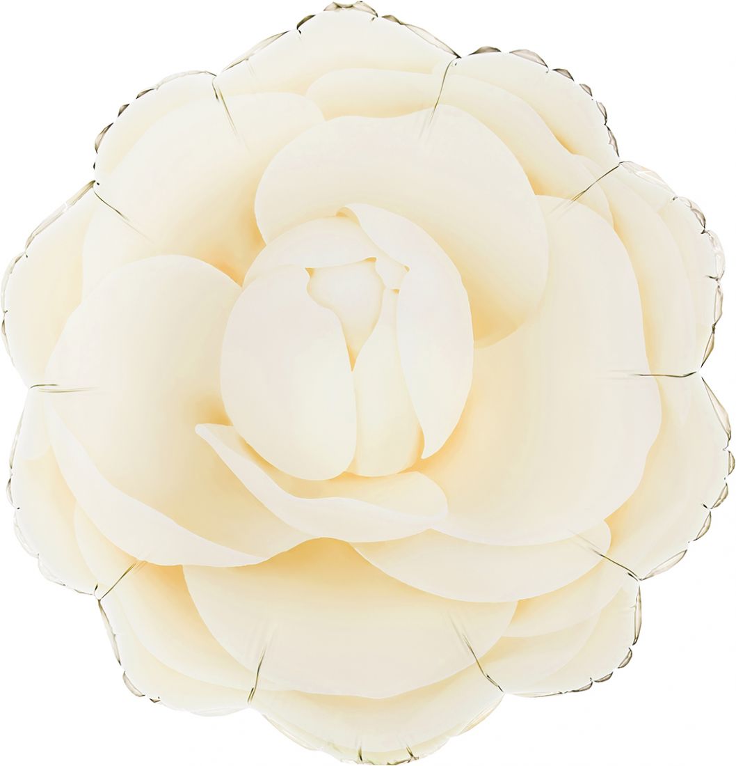 Камелия кремовая шар фигурный фольгированный с гелием