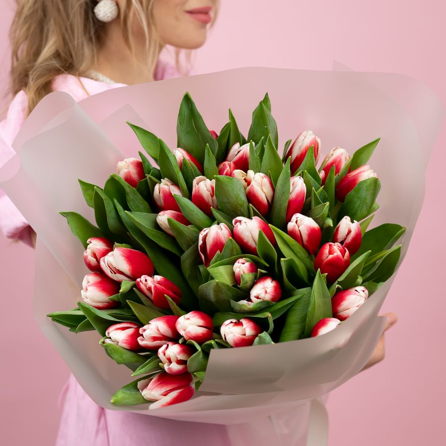 Тюльпаны красно-белые 35шт