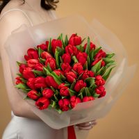 Тюльпаны красные от 25шт.
