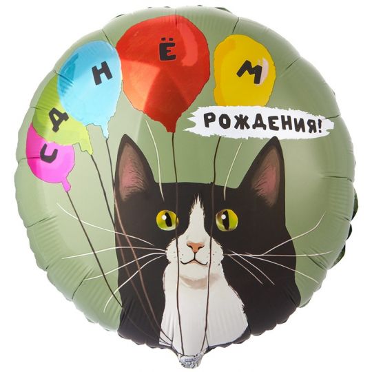 СДР кот с шариками круглый шар фольгированный с гелием