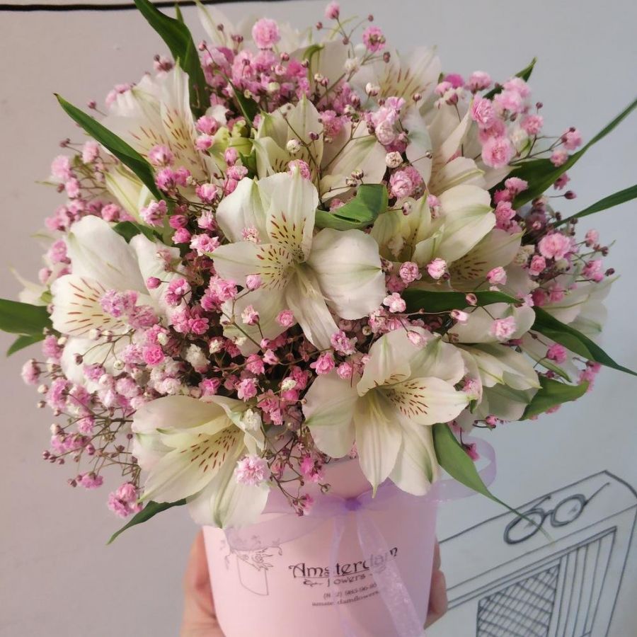 Коробка из альстромерии и гипсофилы