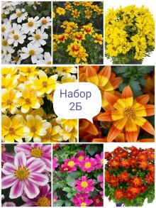 Набор 2Б (биденс)