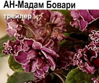 АН-Мадам Бовари