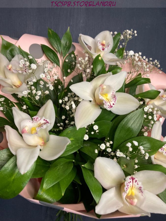 Букет 7 орхидей