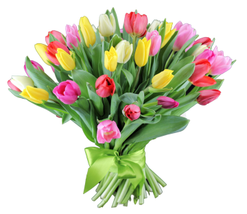 51 яркий тюльпан