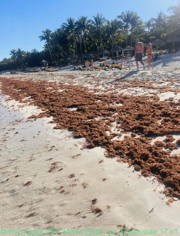 Отель, номер и территория отеля Лас Америкас