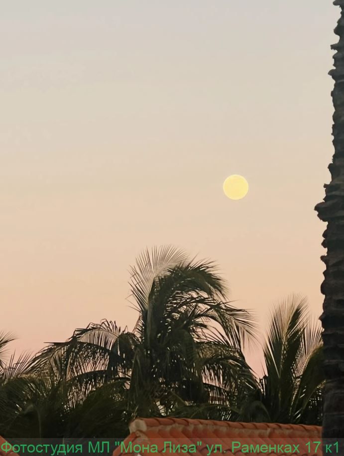 Отель, номер и территория отеля Лас Америкас