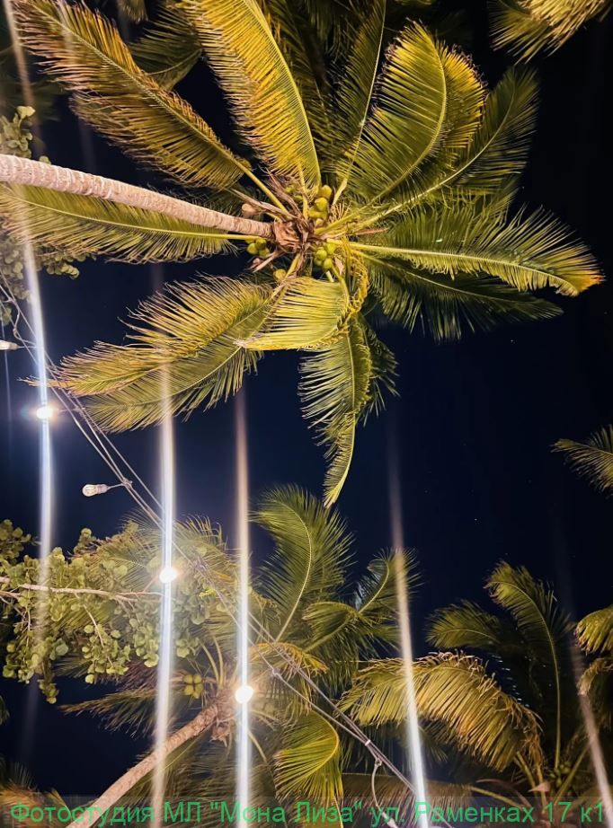 Отель, номер и территория отеля Лас Америкас