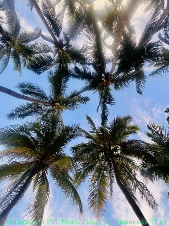 Отель, номер и территория отеля Лас Америкас