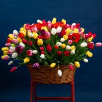 201 тюльпан в корзине