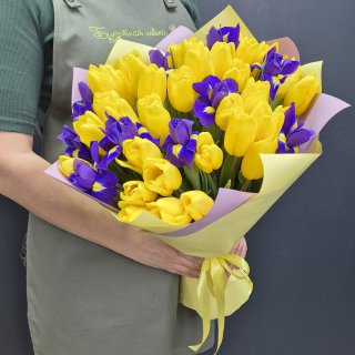 Солнечный зайчик