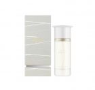 Ahmed Al Maghribi Musk Amiri