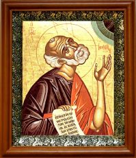 Икона Иона, пророк в киоте с басмой Виноградная Лоза (UV-печать)(30475)