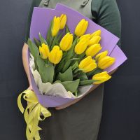 Желтые тюльпаны