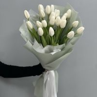 21 белый тюльпан