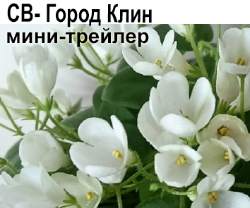 СВ-Город Клин (О.Емельянова).  НОВИНКА КАТАЛОГА