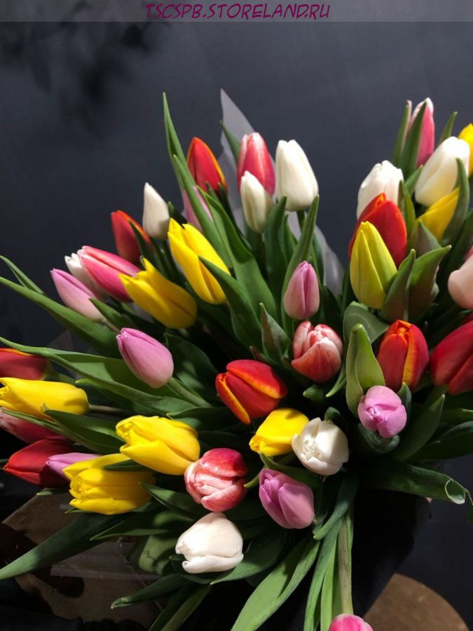 Тюльпаны 7шт в авторской упаковке