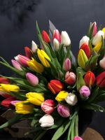 Тюльпаны 7шт в авторской упаковке