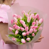 Тюльпаны светло-розовые 35 шт в упаковке