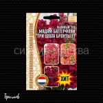 Lvinyj-Zev-Madam-Batterflyaj-Tri-Cveta-Bronzy-Madame-Butterfly-Bronze-White-Bronze-Cherry-Bronze-7sht-Red-Sem