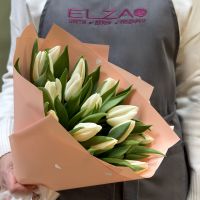 Тюльпаны белые в упаковке (от 11 шт)