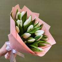 Тюльпаны белые в упаковке (от 11 шт)