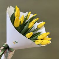 Тюльпаны желтые в упаковке (от 11 шт)