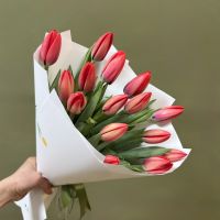Тюльпаны красные в упаковке (от 11 шт)