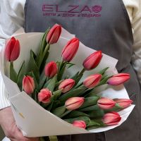 Тюльпаны красные в упаковке (от 11 шт)