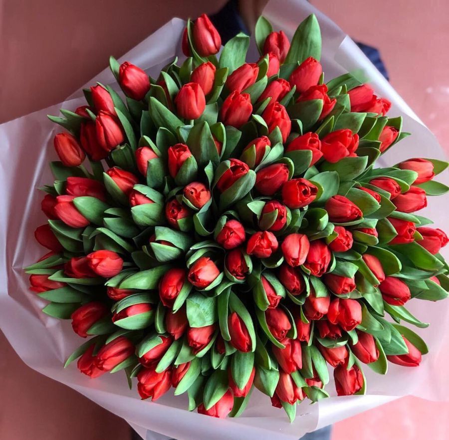 Красные тюльпаны в оформлении (от 15 шт)