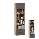 Шкаф комбинированный (366) «Порто» Исп.2 - ТД-393.07.20 Исп.2 Яблоня Беллуно, Графит софт