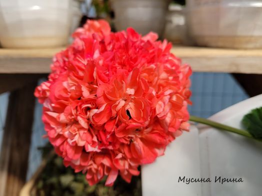 Шёлк Валькирия