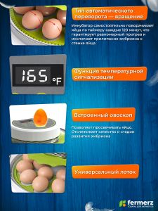 Инкубатор WQGY18 на 18 куриных яиц с автоматическим переворотом