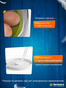 Инкубатор WQGY18 на 18 куриных яиц с автоматическим переворотом