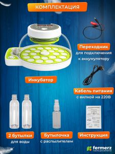 Инкубатор WQGY18 на 18 куриных яиц с автоматическим переворотом