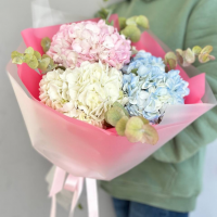 Букет "Живопись"/гортензии/эвкалипт