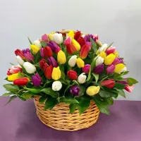 101 тюльпан яркий микс в корзине