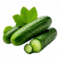 Огурец Плодоношение