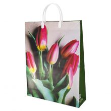 Сумка "Мягкий пластик" L 42х32х10см