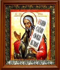 Икона Пророк Иоиль в киоте с басмой Виноградная Лоза (UV-печать)(30788)