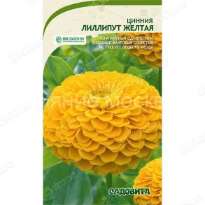 Циния Лиллипут Желтая 0,4гр Садовита