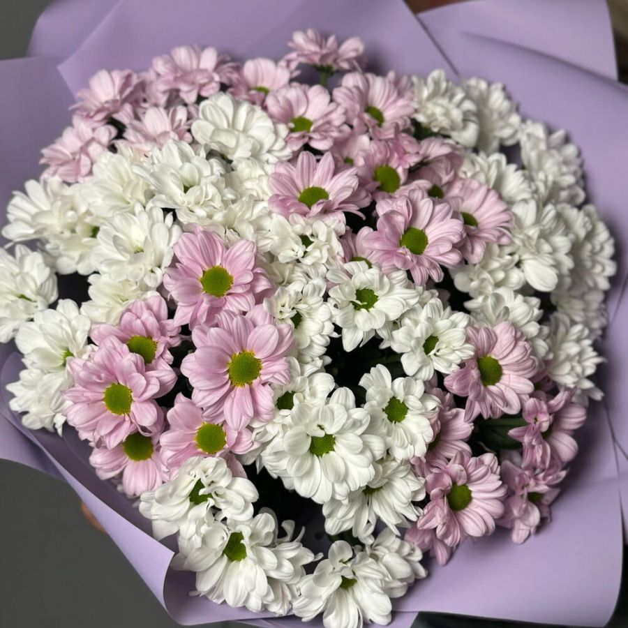 Букет розово белых хризантем