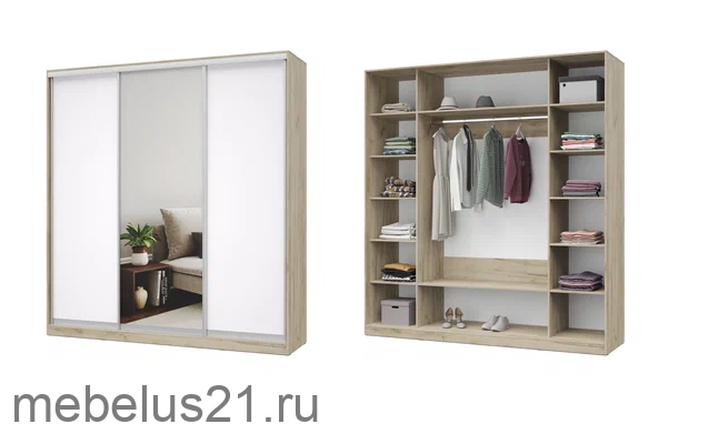 Шкаф купе с зеркалом 220 Роланд