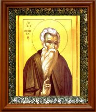 Икона Феоктист Палестинский в киоте с басмой Виноградная Лоза (UV-печать)(31023)