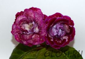 ЕН-Луврские Шедевры (сел.Е.Николаева) Новинка 2025!