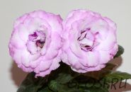 ЕН-Ультрафиолет (сел.Е.Николаева) Новинка 2025!