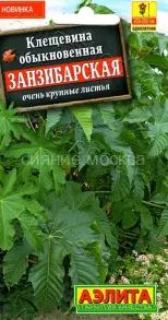 Клещевина Занзибарская Аэлита