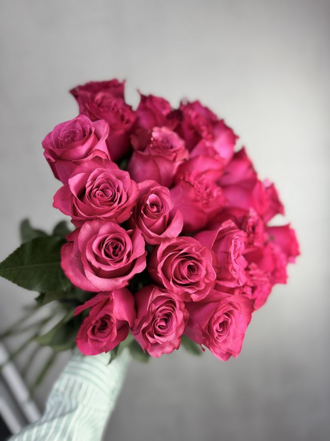 Роза Малиновая