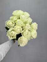 Роза белая